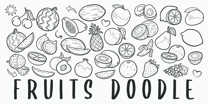 Fruits Food Doodle Line Art Illustration. Hand Drawn Vector Clip Art. Banner Set Logos.