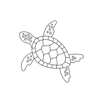 Doodle sea turtle for coloring.Sea animals for children 's coloring pages.Hand drawn vector illustration isolated on white background