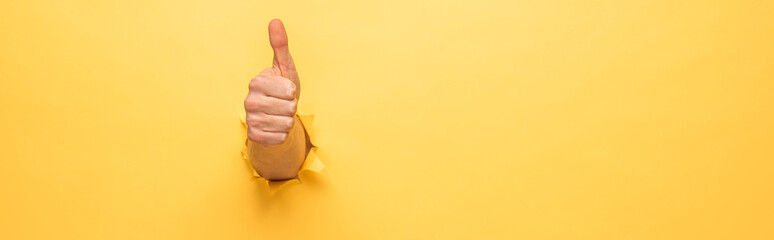 cropped view of man showing thumb up through yellow paper hole, panoramic shot