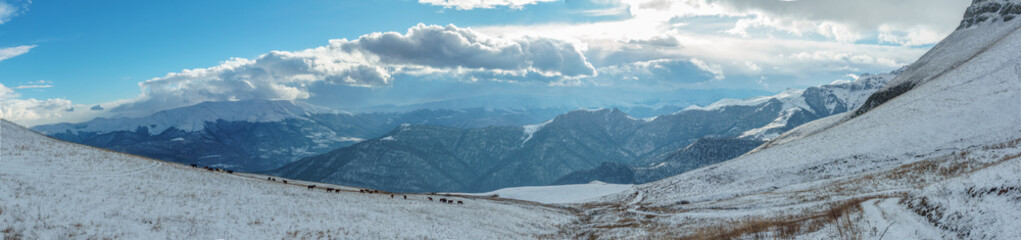 Horses in the background of a winter mountain landscape in Armenia