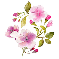 Cherry apple spring blossom flower bouquet pink flower