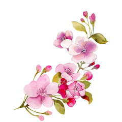 Cherry apple spring blossom flower bouquet pink flower