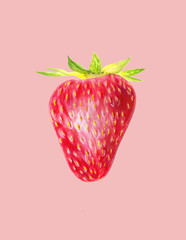 Strawberry isolated on pink background. Red berry closeup. Fresh organic food. Watercolor painting. Botanical realistic illustration. Hand drawn art.
