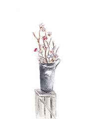 Arrangement of a flowers in a tall vase. Branches of cotton buds and red berries. Ikebana isolated on white background. Hand drawn sketch illustration. Watercolor textured painting.