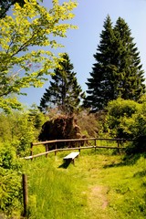 Landschaft rund um den Vogelsberg