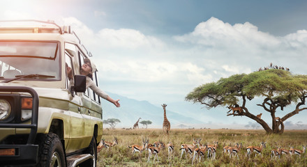 Sretna žena putnica na safariju u Africi, putuje automobilom po Keniji i Tanzaniji, promatra život divljih tigrova, žirafa, zebri i antilopa u savani.
