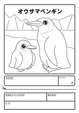 オウサマペンギン　ぬりえ　応募用紙　coloring picture Aptenodytes patagonicus Character illustration