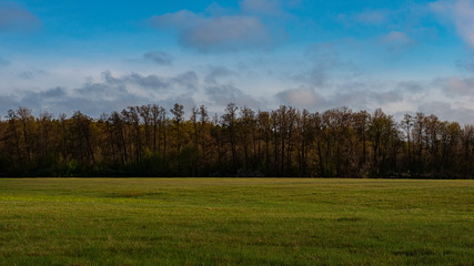 Obraz premium Green meadow and deciduous forest in the evening outside the city, panorama.