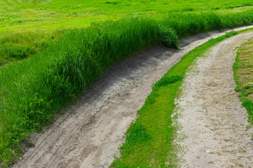 Dirt road among green grass in the meadow.