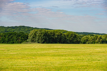 Green meadow, deciduous forest and clouds in the hilly countryside.
