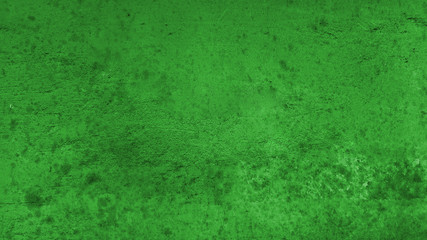 Obraz premium Green wall abstract background grunge style texture design vegan banner with place for text