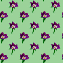 Seamless pattern of purple Tulip on a green background