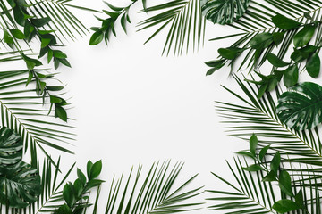 Palm and monstera leaves frame for your design