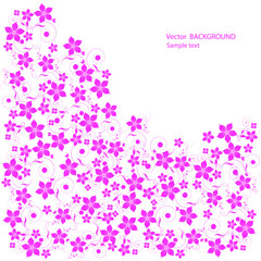 Pink floral background with flowers 