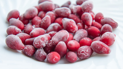 Frozen dogwood on a white plate. Side view