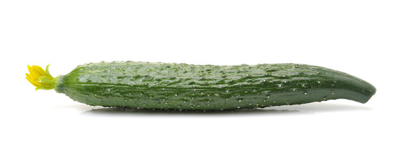 fresh cucumbers on white background