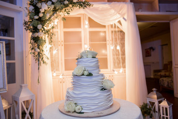 bride and groom cut a wedding cake