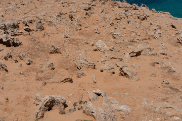 sea landscape