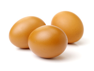 eggs on a white background