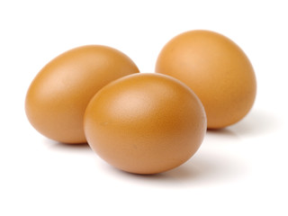 eggs on a white background