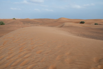 Fototapeta na wymiar Dunes in the desert near Dubai