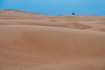 Dunes in the desert near Dubai