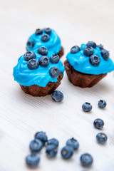 beautiful homemade chocolate cupcakes with blue cream and scattered blueberries on a white wooden background