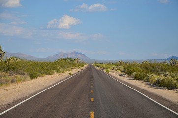 Fototapeta premium Road to nowhere in Mojave desert USA