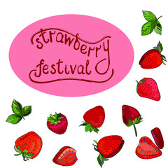 Inscription red brush strawberry festival. Set of ripe berries drawn by hands on a white background. Lettering for the design of the summer holiday. Tasty, healthy, natural food. Isolated vector