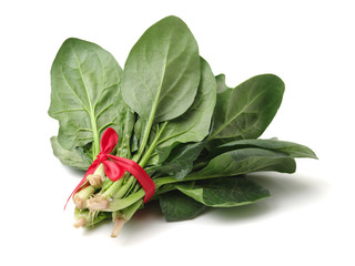 Spinach on white background