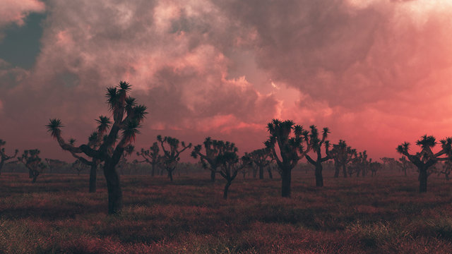 Joshua trees under stormy sky at sunset. Digitally generated image.