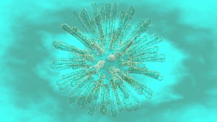 Stages of mitosis. Corona virus. Biology background. Blue. The mother cell reproduce by duplicating its contents and dividing into two new cells called daughter cells. 3d rendering
