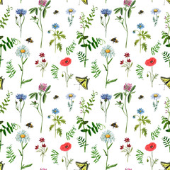 Summer Wild flowers seamless pattern. Watercolor hand drawn red poppy, blue cornflower, pink cosmos, clover, cosmos, daisy, green herbs, mouse peas, yellow butterfly. Floral botanical wallpapers. 