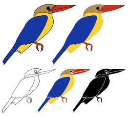 Obraz premium Stork billed Kingfisher bird in profile view