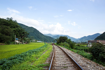 Fototapeta na wymiar Old railroad tracks and rail bikes in Jeongseon-gun, South Korea.