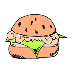 Burger hand drawn illustration vector