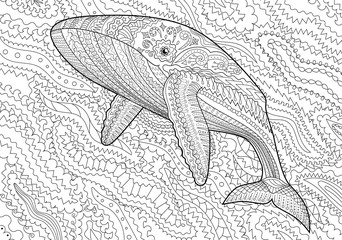 Coloring pages for adult with blue whale
