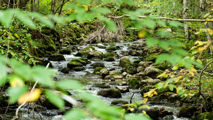 Obraz premium Streaming Water