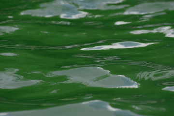  Green pool water And there are waves