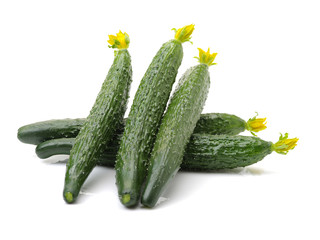 fresh cucumbers on white background