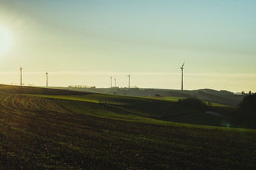 Fototapeta na wymiar wind turbines in green field at sunset