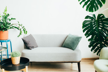 Modern living room bright and airy with green plants