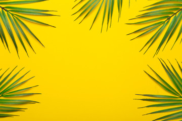 Fototapeta na wymiar Tropical leaves on a yellow background. Tropical leaves of jungle palm trees on a colored minimal background. Flatlay concept, copy space