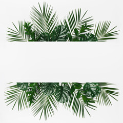 Creative tropical frame of monstera and palm leaves