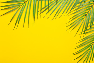 Tropical leaves on a yellow background. Tropical leaves of jungle palm trees on a colored minimal background. Flatlay concept, copy space