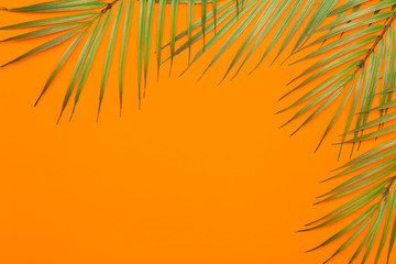 Tropical leaves on a orange background. Tropical leaves of jungle palm trees on a colored minimal background. Flatlay concept, copy space