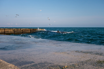 Restless sea, concrete pier, waves, seagulls.