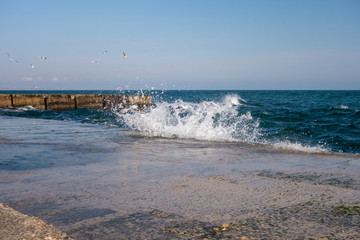 Restless sea, concrete pier, waves, seagulls.