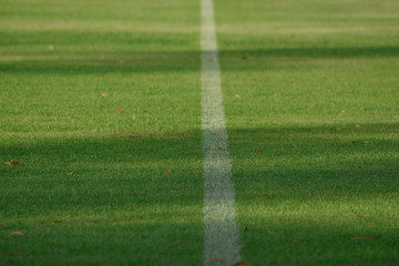 football field Is a green lawn That has been beautifully trimmed	