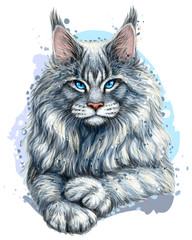 Основные RGBCat. Graphic, artistic, hand-drawn, color sketch portrait of a Maine Coon cat on a white background in watercolor style.